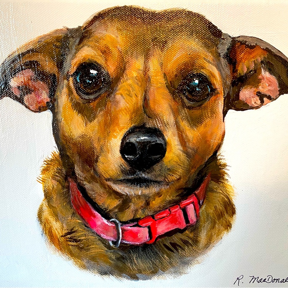 Custom Pet Portrait from a Photo